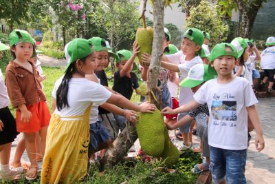 Hoạt động trải nghiệm của trẻ trường mầm non Hành Phước tại Đại Việt Farm.